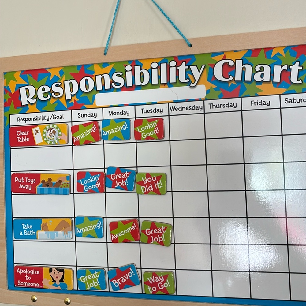 Melissa & Doug Magnetic Responsibility Chart
